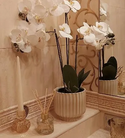 Luxury Flat Close To The Border Apartamento